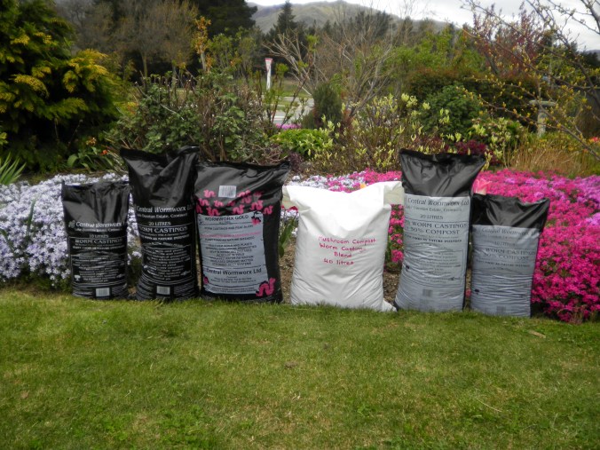 SANYO DIGITAL CAMERA